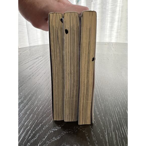 The Sacred Blacksmith Volume 2 5 6 English Manga Isao Miura - Picture 15 of 16